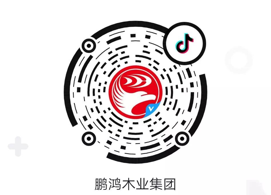 這廂有禮丨這個(gè)春節(jié)我最鴻，抖音相伴幸福年